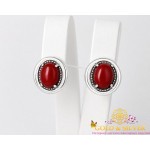 Жіночі сережки срібні з коралом "Декад" 2496к , Gold &amp Silver Gold & Silver, Украина